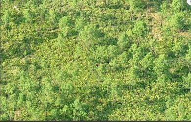 0 Dill Rd unit MFRO6231645, Orlando, FL 32820 - photo 3