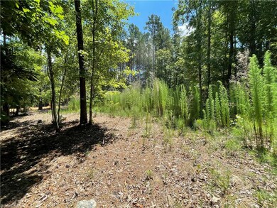 250 and 500 Cove Wood Dr, Denton, NC 27239 - photo 2