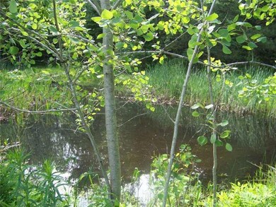 Other. Farm Pond