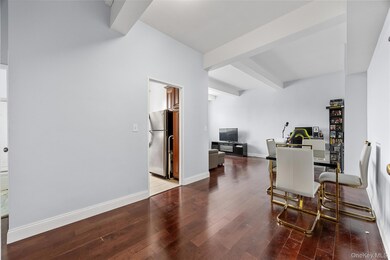 355 Bronx River Rd unit 1I, Yonkers, NY 10704 - photo 7
