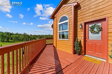 428 Ridge Dr, Divide, CO 80814 - photo 5