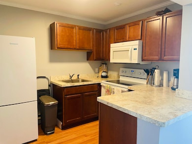 75 Treetop Cir unit 14, Laconia, NH 03246 - photo 6