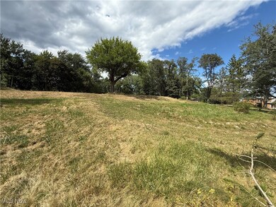 408 E High St, Flushing, OH 43977 - photo 3