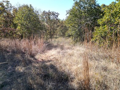 19850 Milfay Rd, Depew, OK 74028 - photo 5