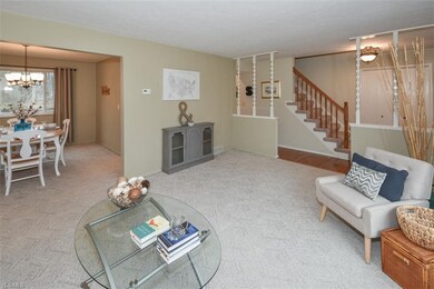 26288 Hickory Ln, Olmsted Falls, OH 44138 - photo 5