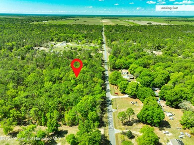 0 SW 95th St unit 2231203, Dunnellon, FL 34431 - photo 6