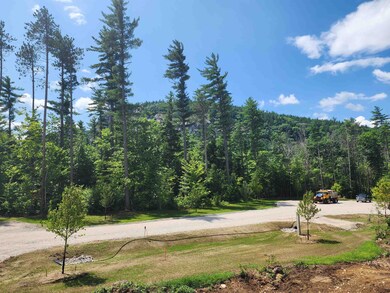Note:  Pine trees in the photo will be cut in the 