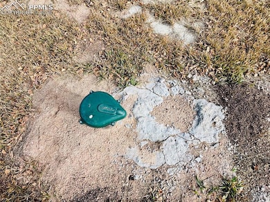 799 Elfin Glen Dr, Divide, CO 80814 - photo 7