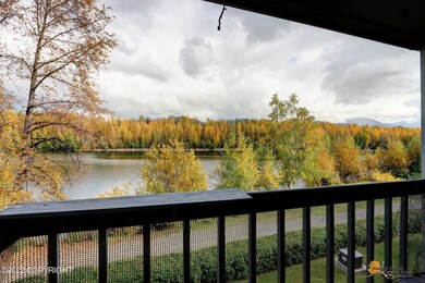 View from Balcony