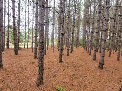 ON Cth B unit Lot 3, Antigo, WI 54424 - photo 5