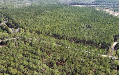 TBD NE 22nd Ln, Hawthorne, FL 32640 - photo 2