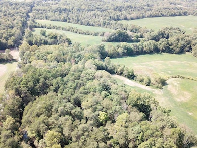 3965 S Co Road 350 E, Winslow, IN 47598 - photo 7