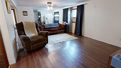 317 S Plum St, Moweaqua, IL 62550 - photo 4