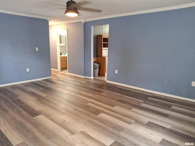 717 S 6th Ave, Canton, IL 61520 - photo 7