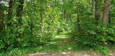 0 Alma Rd unit 72513381, Millis, MA 02054 - photo 2