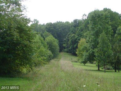 0 Eggbornsville Rd unit 1004090632, Rixeyville, VA 22737 - photo 4