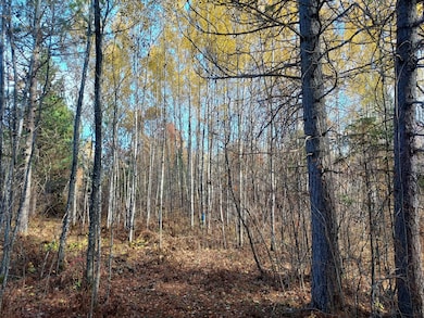 0 Burrows Lake Rd, Little Rice, WI 54487 - photo 5