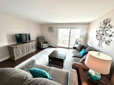 850 S Lorraine Rd unit 2E, Wheaton, IL 60189 - photo 4