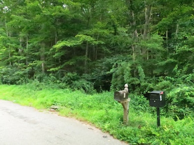 10 Cherry Swamp Rd, East Haddam, CT 06469 - photo 5