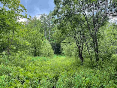 00 Guyette Rd, Lowell, VT 05847 - photo 5