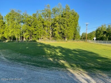 IMG_2512 (1)