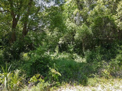 Lot 4 NW 5th St, Carrabelle, FL 32322 - photo 6