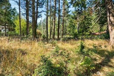 0 San Juan Dr, Friday Harbor, WA 98250 - photo 7