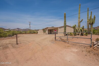 Cactus-1