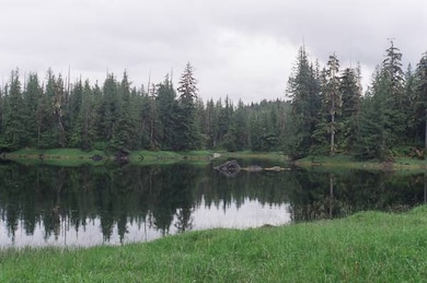 Lot 5 Thom's Place unit 1 Block 4, Wrangell, AK 99929 - photo 5