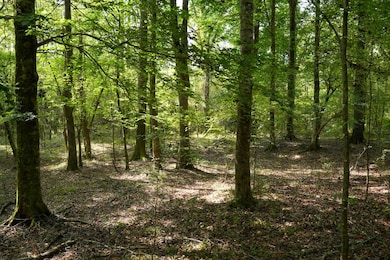 0 Bethesda Rd unit 11612880, Crystal Springs, MS 39059 - photo 3