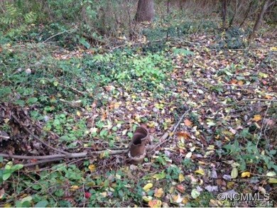 Remnants of Old Homesite