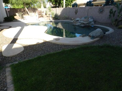 BACK YARD