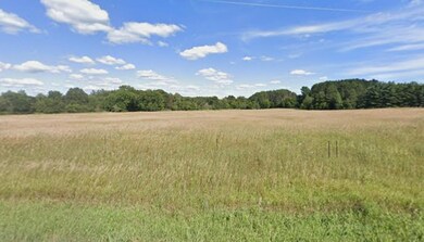 252xx Durant St NE, Isanti, MN 55040 - photo 5