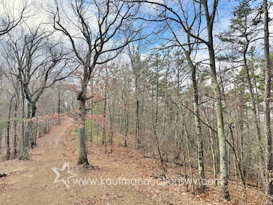 43 Highland Dr, White Sulphur Springs, WV 24986 - photo 4