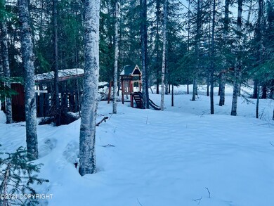 Playset