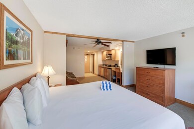 6 Emmons Rd unit 218, Crested Butte, CO 81225 - photo 3