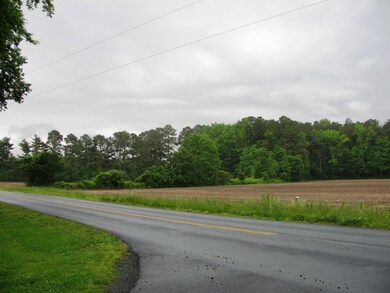 Road scene looking South