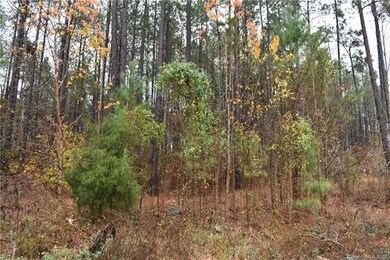 Lot has trees. Seasonal view of Lake Wylie.