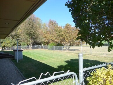 Fenced Back Yard