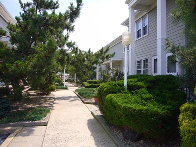 Walkway to Beach and Pool