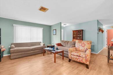 10800 Teer Ln, Port Richey, FL 34668 - photo 6