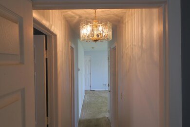 IMG_1626 - Copy