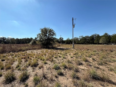 1258 Willow Creek Dr, Elgin, TX 78621 - photo 4