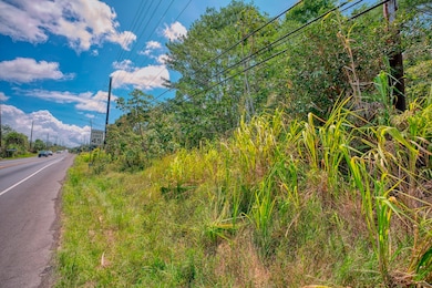 0 Pahoa Rd unit 719852, Keaau, HI 96760 - photo 3