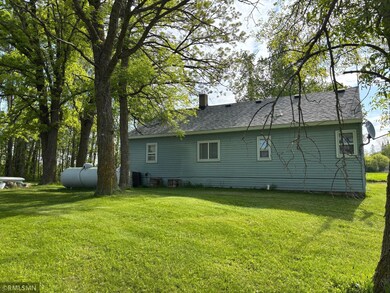 290 Nelson Ave W, Tamarack, MN 55787 - photo 3