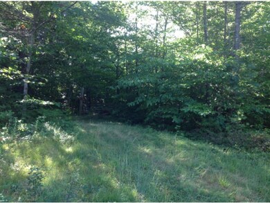 0 Molly Philbrick Rd unit 4440003, Effingham, NH 03882 - photo 5