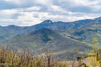 5_Lot-View_high_3677598