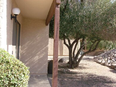 Back Patio