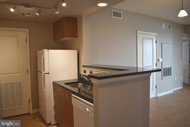 The Crescent unit 1006, Silver Spring, MD 20910 - photo 5