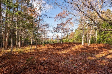 376 W Bay Rd, Islesboro, ME 04848 - photo 3